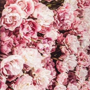 Meet your Posher, Kailey